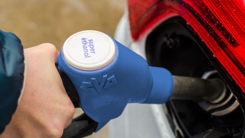 galerie photo la 36eme chambre